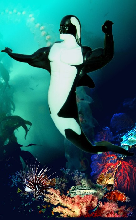 CetaOne in the kelp