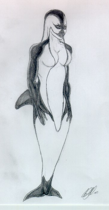 Dolphin-hybrid study