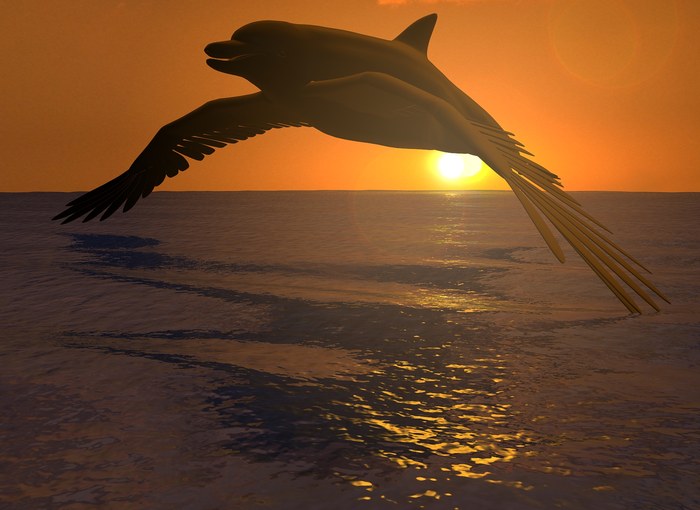 Dolphins Dream — the winged dolphin